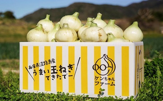 ＼うまい玉ねぎできたでー／ケンちゃんファームの特別栽培・新玉ねぎ10㎏～ひょうご安心ブランド認証取得～