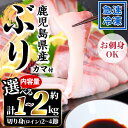 【ふるさと納税】＜内容量が選べる！＞鹿児島県産！冷凍ぶり(ロイン2~4節入・計1~2kg前後/カマ付) 国産 九州産 鹿児島産 魚介 魚 旬 鰤 ブリ ぶり ハマチ はまち 刺身 お刺身 海鮮丼 漬け丼 ブリ大根 ぶりしゃぶ しゃぶしゃぶ カマ ロイン 切り身 切身 冷凍【全栄フーズ】