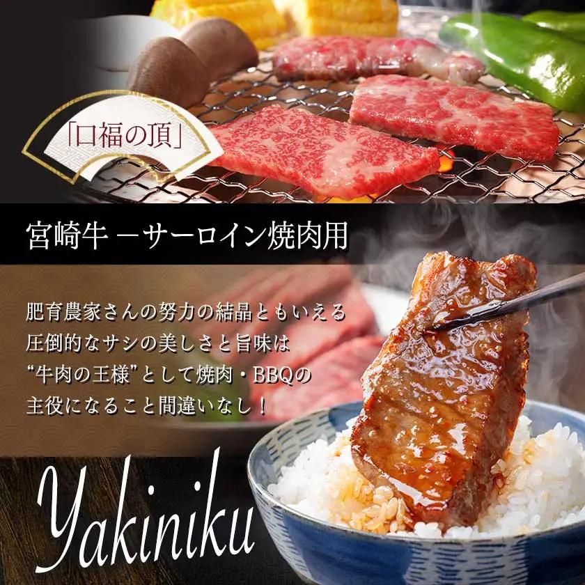 【A5】宮崎牛サーロイン焼肉用500g〔AE-0106〕_(都城市) 最高級A5ランク 宮崎牛サーロイン焼肉用 500g 最高等級5等級 ブランド牛 国産牛肉 国産黒毛和牛 バーベキュー 焼き肉 ガッ