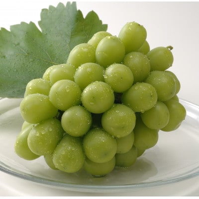 岡山県産シャインマスカット　1房・約500g(クール便)【配送不可地域：離島】