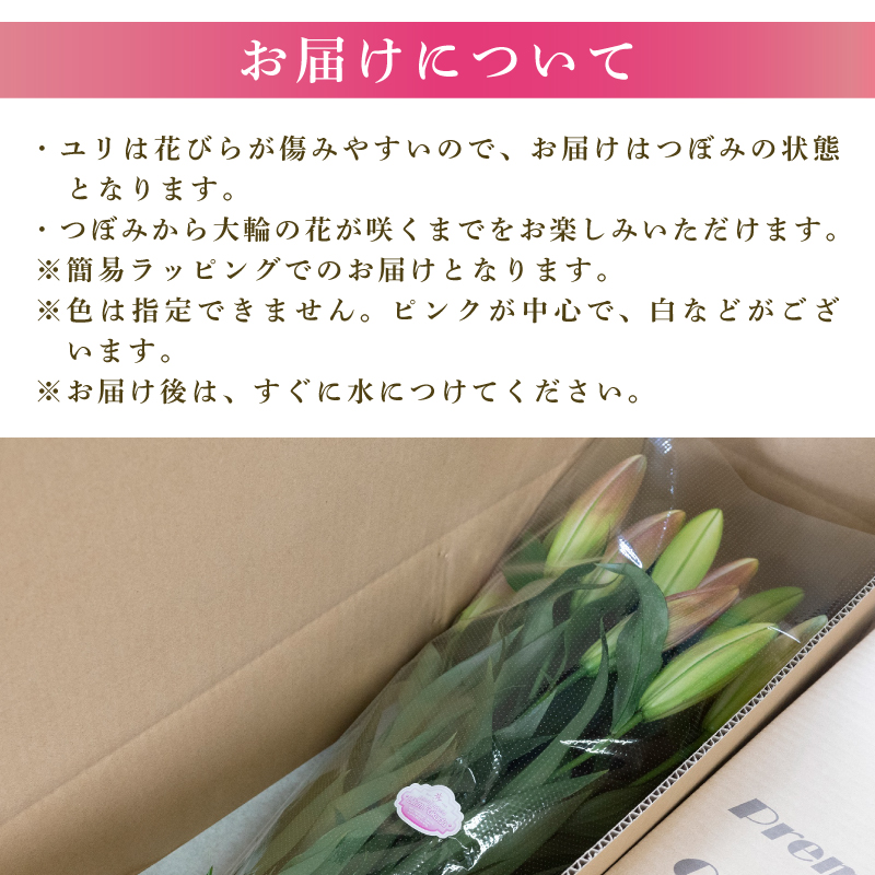 定期便5回 ユリ オリエンタルリリー 4本