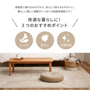 日本製 ふっくら厚手の防ダニ・抗菌防臭加工 カーペット 1枚 約185×240cm ベージュ 350118308 [3458]