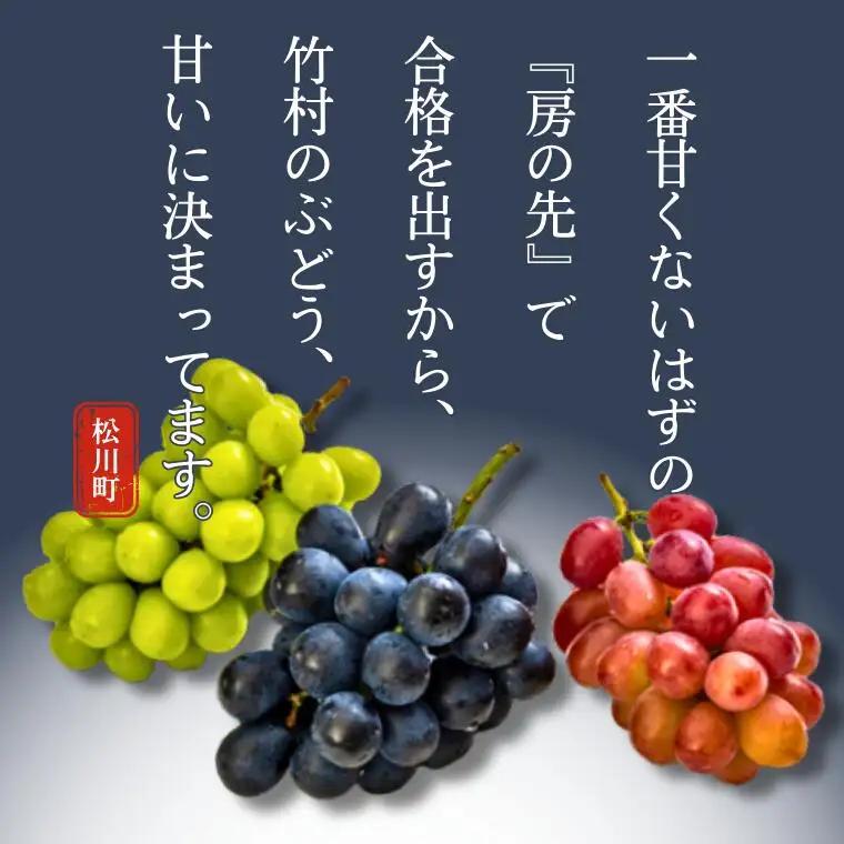 ぶどう クイーンルージュ®  約1kg ／2026年9月下旬～10月頃 配送予定［TK13］//稀少 新品種 長野県 南信州 松川町産 高糖度 葡萄 クインルージュ 甘い 種なし 皮ごと 先行予約
