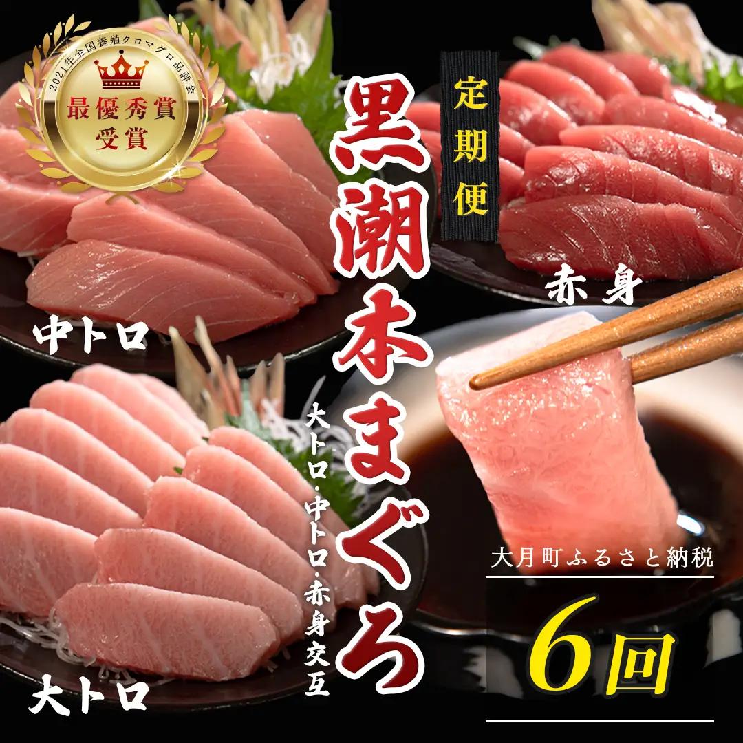 訳あり 不定貫 定期便6回 日本一!黒潮本まぐろ 大トロ・中トロ・赤身（交互） (PT0080_0536)