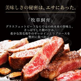 和牛道ステーキセット(サーロインステーキ200g・リブロースステーキ200g)【配送不可地域：離島】
