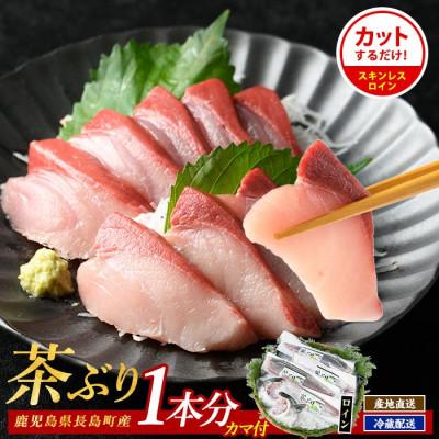 ふるさと納税 長島町 ブリカマ付!茶ぶり スキンレスロイン(1尾分・4分の1カット済)【ウスイ】 usui-7324R8