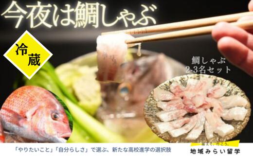 
                  【セット】【冷蔵】穂州鯛のしゃぶしゃぶセット(2〜3人前/お刺身用サク&旬の野菜)
                