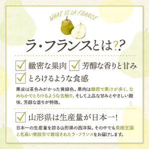 【令和7年産 先行予約】西洋梨ラフランス5kg　秀品　化粧箱入り 山形県 東根市 東根農産センター提供 hi027-194-1 ラフランス 洋梨 洋ナシ フルーツ 果物 くだもの 化粧箱 産地直送 期