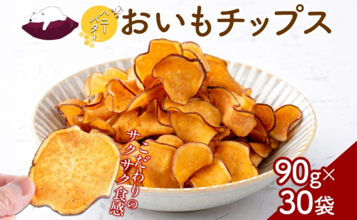 おいもチップス ハニーバター味 90g×30袋 さつまいも はちみつ バター おやつ スイーツ サクサク 食感 お茶請け 自社農園 手作業 信州チップス 贈り物 ギフト おいも日和 ねんりん 長野県 坂城町