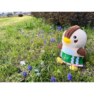 ふるさと納税 入間市 入間市観光大使「いるティー」ぬいぐるみ |  | 03