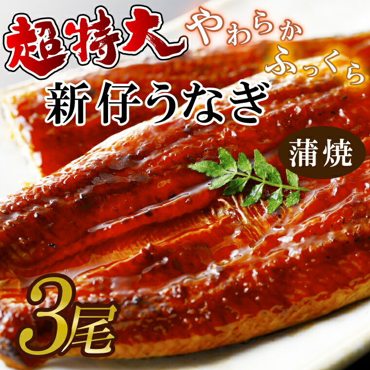 【ふるさと納税】超特大！やわらか国内産うなぎ蒲焼220～250g 3尾　計660g以上|うなぎ 鰻 蒲焼 特大 茨城県 行方市(AD-94-1)