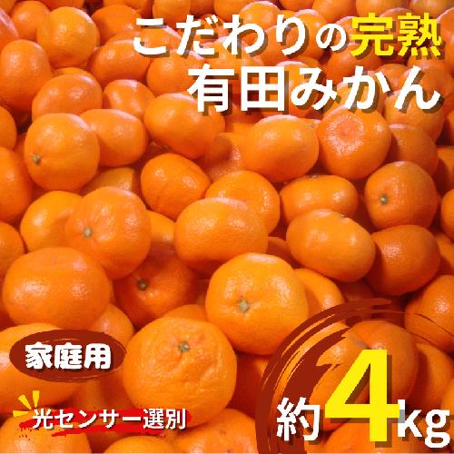 【発送時期が選べる】＼光センサー選別／こだわりの 有田みかん 約4kg＋250g(傷み補償分)【ご家庭用】【11月・12月・1月から選択可能】