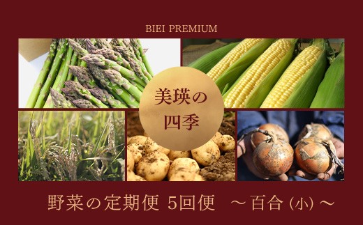 
                  【先行予約】<令和8年産 > 美瑛の四季 野菜 米 定期便 【百合】5回便 セット 詰め合わせ | 北海道 美瑛 野菜定期便 野菜 定期便 野菜 5回 5ヶ月 5か月 新鮮 採れたて 野菜 セット 詰め合わせ 人気 ランキング 産地直送 定期便 野菜直売所 定期 野菜ソムリエ やさい ヤサイ 北海道産 令和8年発送 [051-17]
                