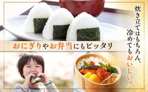 【令和7年度産】 食味ランキング「特A」ななつぼし精米定期便 (10ｋｇ×12回)