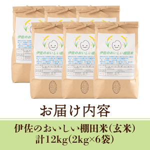 isa560 伊佐のおいしい棚田米〈玄米〉 ヒノヒカリ(計12kg・2kg×6袋) 国産 玄米 伊佐米 お米 米 ごはん ご飯 ひのひかり【薩摩美食倶楽部】