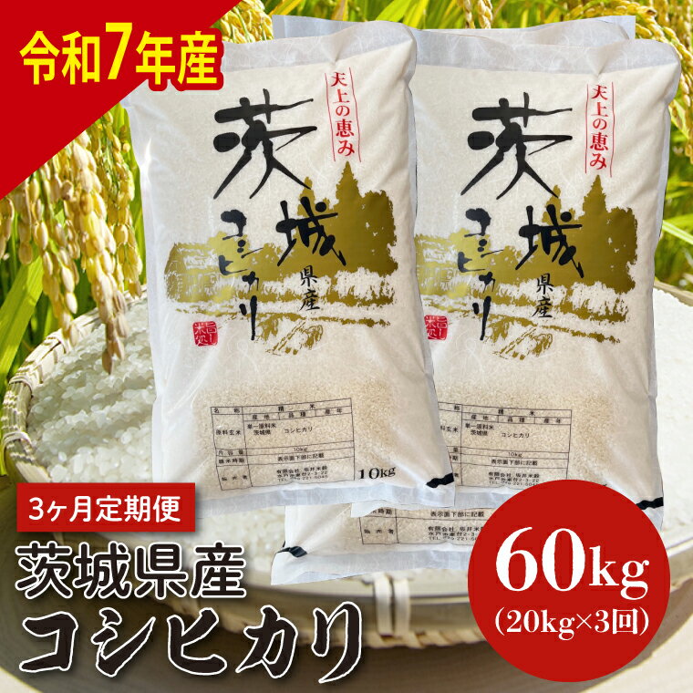 【ふるさと納税】【数量限定】【3ヵ月定期便】【令和7年産】茨城県産コシヒカリ 20kg×3 【定期便 お米 ごはん こしひかり 老舗 米屋 おにぎり ごはん 茨城県 水戸市 60キロ】(HQ-206)