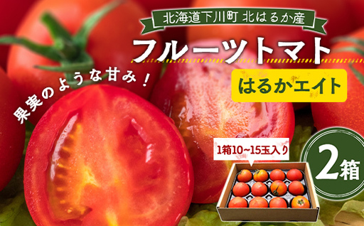 【先行予約】令和8年産 10～15玉前後 糖度8.0度以上 北はるか産フルーツトマト はるかエイト 2箱 フルーツ トマト グルメ 故郷 ふるさと 納税 国産 北海道産 北海道 下川町 F4G-0348