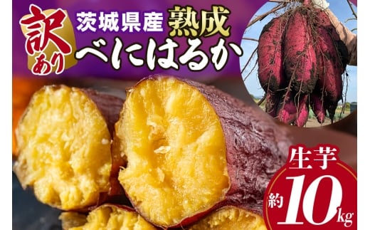訳あり品！茨城県産熟成べにはるか 約10kg さつまいも サツマイモ 芋 いも 茨城県 那珂市 B15-006