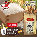 【ふるさと納税】 令和6年産 【無洗米2kg/12ヶ月定期便】湯沢産コシヒカリ＜無洗米＞ 南魚沼産 こしひかり 12回定期便 【期間限定 100g増量中！】