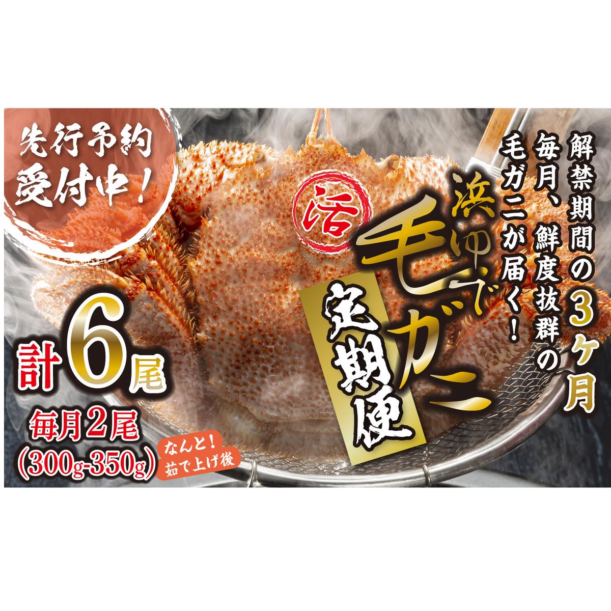 ＜ 2027年2月上旬より発送開始 ＞ 【 定期便 全 3回 】 北海道産 浜ゆで 毛ガニ 2尾 × 3回 （ 計 6尾 ） 毛蟹 毛がに かに味噌 カニ味噌 新鮮 旬 ボイル 浜茹で 海鮮 海産物 