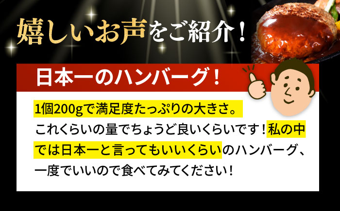 ＜9月発送＞【着日指定可能】A5ランク特選 平戸和牛 ハンバーグ200g×4個【萩原食肉産業有限会社】[KAD084]/ 長崎 平戸 肉 牛 牛肉 黒毛和牛 和牛 ハンバーグ 冷凍