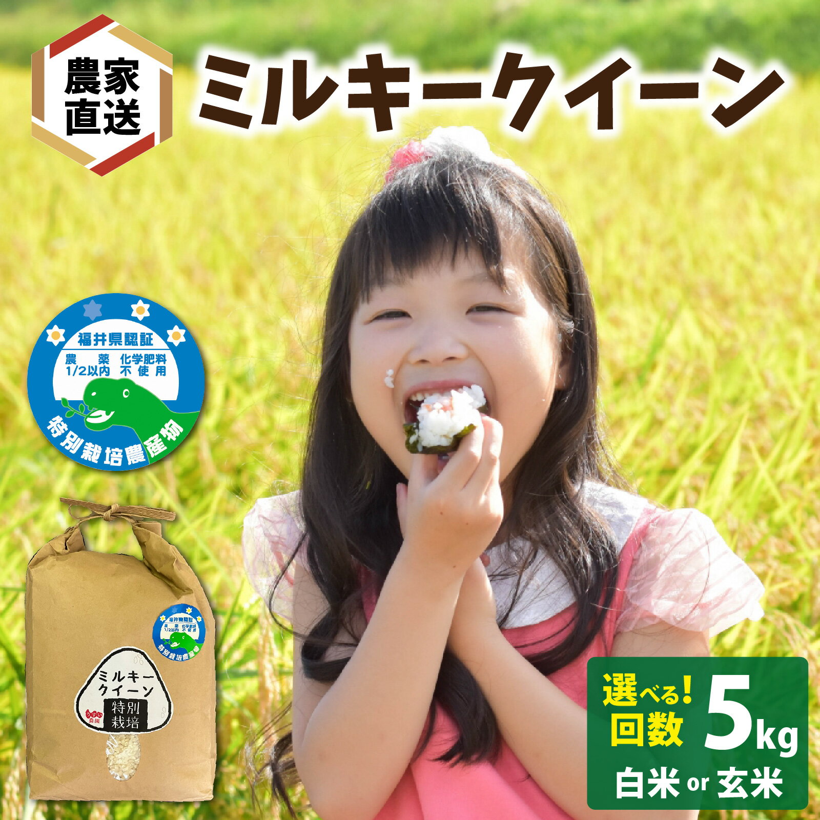 【ふるさと納税】【先行予約】【令和8年産 新米】【選べる精米方法/お届け回数】ミルキークイーン 5kg（1回/3回/6回）【2026年10月から順次発送】 | 農家直送 精米 玄米 米 福井 南越前町 うすい農園 | お米 ごはん ご飯 コメ 新米 国産 定期便 送料無料
