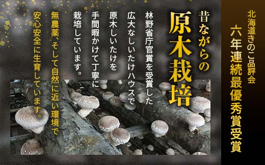 【先行予約】2026年5月以降順次発送 原木栽培 生椎茸 約1kg 里の恵 しいたけ シイタケ きのこ キノコ 椎茸 野菜  F21W-572