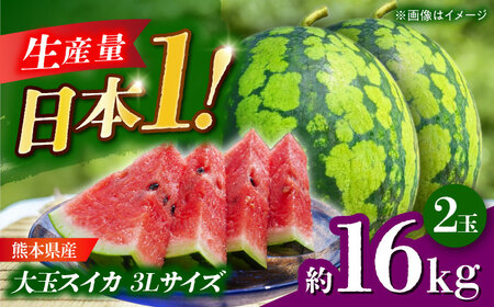 【先行予約】 大玉スイカ 3Lサイズ　2玉入り 約16kg すいか 大玉 熊本 フルーツ 野菜 果物 【日本フルーツ株式会社】[ZFJ046]