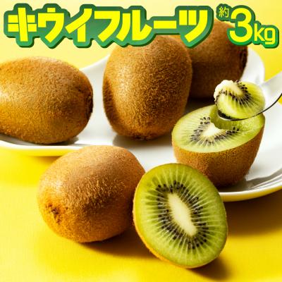 ふるさと納税 新宮町 キウイフルーツ(グリーン)3kg程度/2027年1月〜2月配送予定.AC196