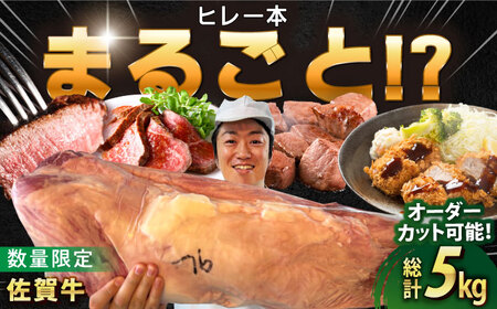 【ロマ佐賀】厳選佐賀牛ヒレ1本5kg / 有限会社片岡精肉店 [41AEAC013]