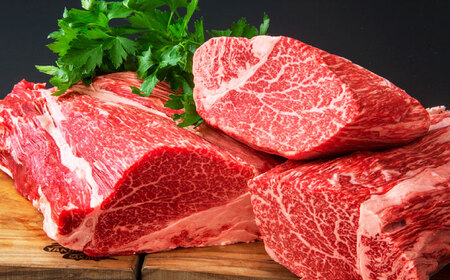 【スピード配送】【寄附額改定】しまね和牛 ヒレステーキ 500g [ALEF001] 牛肉 ヒレ