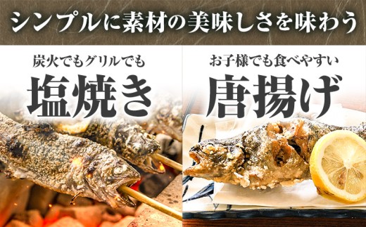 アメゴ 約1kg  内臓 なし 木屋平淡水養魚場《4月上旬-10月下旬頃出荷(土日祝除く)》 【配送不可地域あり】※北海道・沖縄・離島　徳島県 美馬市 川魚 アメゴ あまご 塩焼き 唐揚げ 送料無料
