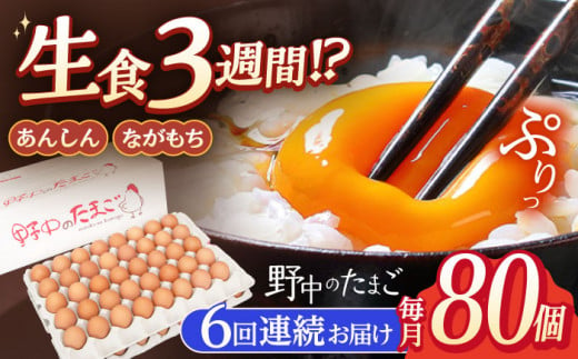 【6回定期便】産みたて新鮮卵 野中のたまご  80個×6回 計480個【野中鶏卵】 [OAC008] / 卵 長持ち 濃厚 玉子 濃厚 卵料理 タマゴ 鶏卵 オムレツ 卵かけご飯 卵焼き