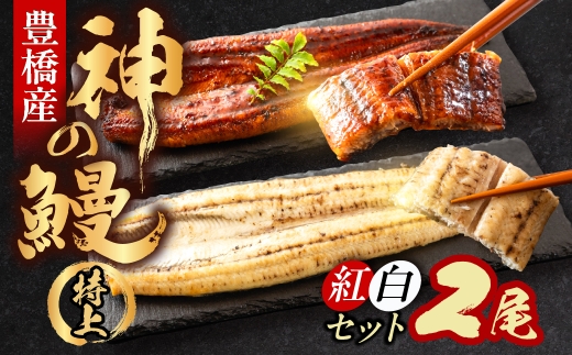 【通常お届け】うなぎの新ブランド、開幕。『神の鰻』2尾【紅白セット】 国産 特上 選べる お届け時期 鰻 うなぎ unagi ウナギ 蒲焼 長蒲焼 国産うなぎ 上 特上 贈答 ギフト お歳暮 プレゼント お祝い 誕生日 土用の丑の日 愛知県 豊橋市