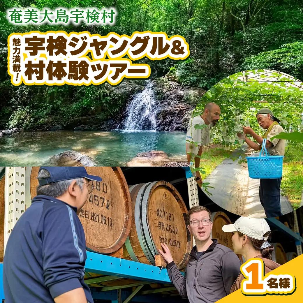 宇検村ジャングル＆村体験ツアー 1名様 奄美大島 宇検村 鹿児島県 旅行 自然 冒険 完全プライベート