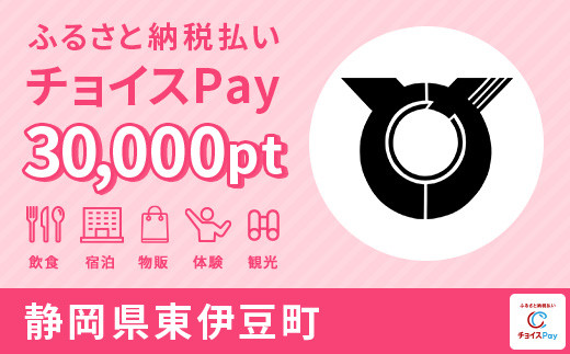 東伊豆町電子感謝券 30,000pt（1pt＝1円）【会員限定のお礼の品】