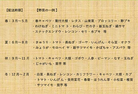 【1日限定5セット】南房総-鴨川の朝採れ野菜セット [0014-0027] １回発送