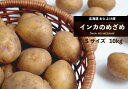 【ふるさと納税】【先行受付】 おとふけ産じゃがいも「インカのめざめ」 10kg （Sサイズ） じゃがいも インカのめざめ ジャガイモ いも 芋 おいも お芋 根菜 やさい 野菜 十勝 セット 詰め合わせ 【11月下旬頃順次発送】 北海道 音更町 送料無料