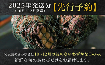 【発送開始】北海道 利尻島産 直送！天然 生えぞあわび１kg 鮑 海鮮 冷蔵 お刺身 魚介 お祝い 鮑 活き 天然【福士水産】