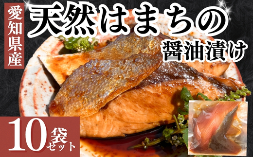 岬だよりの 天然はまちの醤油漬け 10袋セット＜個包装＞