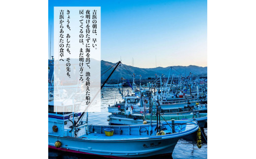 【期間限定】 生うに 400g ミョウバン不使用 冷蔵 岩手県 ［ 季節限定 生雲丹 天然 海鮮丼 寿司 ウニ丼 刺身 ］