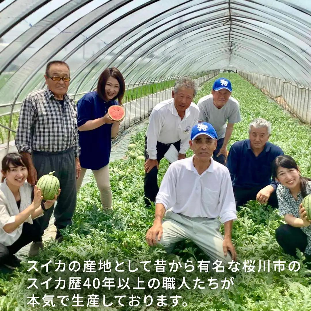 《 2027年 収穫分 》 小玉スイカ 愛娘 2玉 先行予約 国産 KEK 小玉 スイカ すいか 小玉すいか こだますいか 国産 西瓜 フルーツ 果物 くだもの 農家直送 旬 甘い ギフト 人気 産直