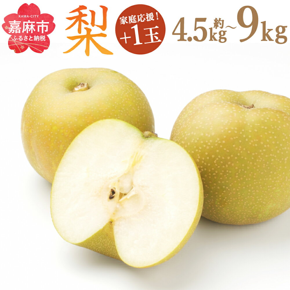 【ふるさと納税】【家庭応援】梨 約4.5kg+1玉/約9kg+1玉 選べる内容量 幸水 豊水 二十世紀 あきづき 新高 新興 南水 王秋 なし ナシ 果物 くだもの フルーツ 果実 九州産 国産 福岡県産 数量限定 期間限定 送料無料【2025年8月上旬～12月上旬に順次発送予定】