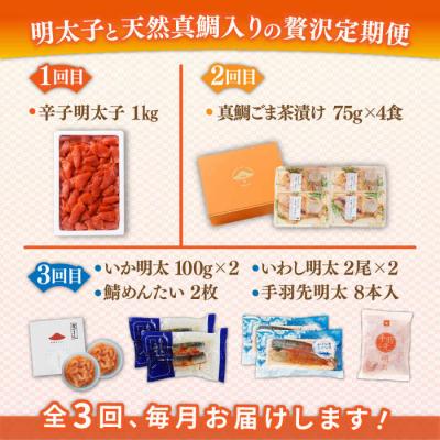 ふるさと納税 糸島市 【全3回定期便】糸島明太子と天然真鯛を味わいつくす定期便 糸島市 / やますえ [AKA089] |  | 01