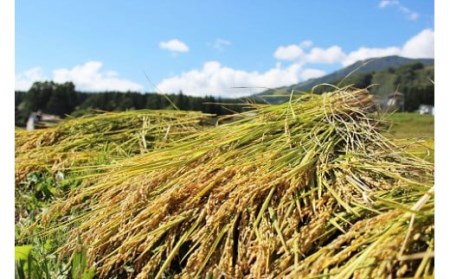 長野県小谷村　あきたこまち　白米３kg（BGN)