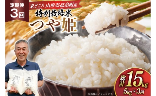 米 定期便 3回 令和7年 つや姫 5kg 3回 計15kg [渡部ファーム 山形県 高畠町 tk06ays810037] お米 白米 精米 ごはん ご飯 ブランド米