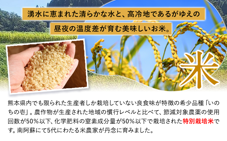 新米 令和7年産  米 いのちの壱(白米) 4kg 雑穀米 付き《10月中旬-11月下旬頃出荷》熊本県 南阿蘇村 南阿蘇 虹色のかば---sms_inci6_k1011_r7_14500_h4kg--