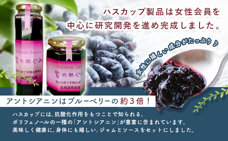 【のし付き】「紫のめぐみ」ハスカップジャム&ソースセット（各1本）【010004】