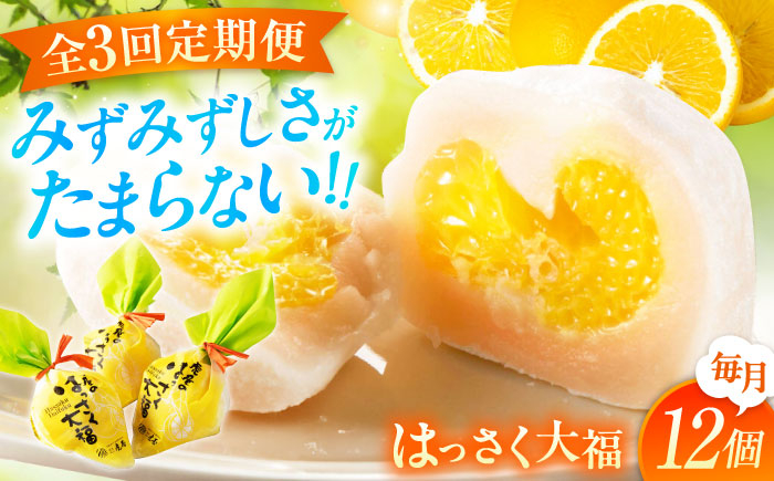 
            【全3回定期便】お菓子 はっさく大福12個入 お菓子 大福 八朔 柑橘 みかん オレンジ 餅 ギフト お取り寄せ スイーツ フルーツ大福 ご当地 菓子 おかし デザート 食品 人気 おすすめ 果汁 広島県産 特産品 産地直送 お取り寄せ 贈り物 ギフト 贈答品 絶品 和菓子 定期便 国産 白あん 個包装 逸品 定期便 福山スイーツ  広島県福山市/株式会社虎屋本舗[BADH014]
          