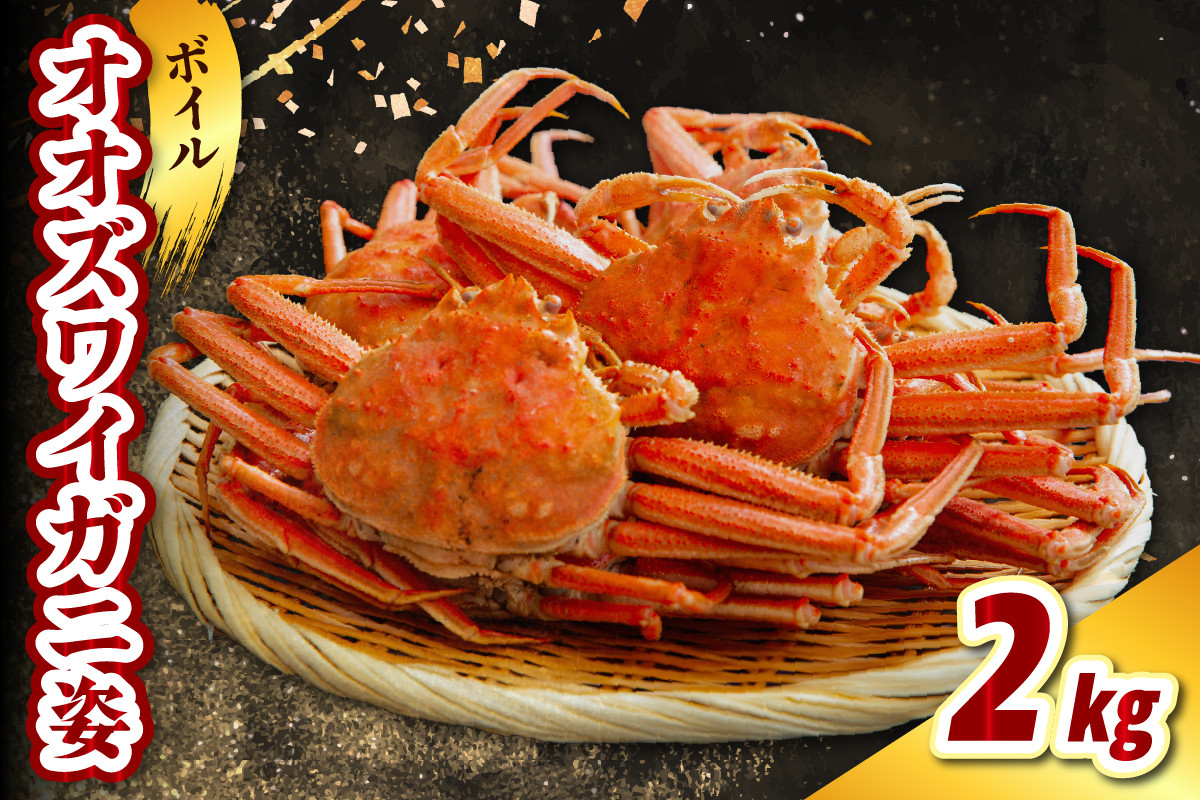 
            ボイルオオズワイガニ姿2kg（3～4杯）【er021-017】かに おおずわい 蟹 大ズワイ 大ズワイガニ ズワイガニ ズワイ ボイル かにみそ 蟹みそ 一杯 冷凍 魚介 魚介類 海鮮 国産 北海道 えりも町
          